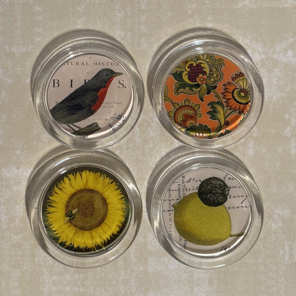 Fringe Studio Set Of 4 Round Glass Coasters Flowers Birds Bees Lemon Felt New